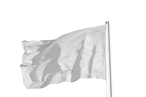 istock A white flag on a pole, rippling in the wind, on white 471529502