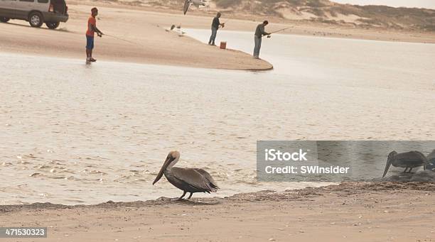 Rio Grande Im Golf Von Mexiko Stockfoto und mehr Bilder von Brandungsfischen - Brandungsfischen, Brownsville, Bucht