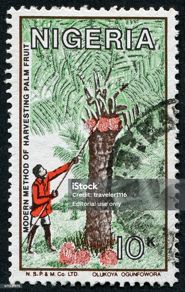 Nigeriano Palm frutas y sello de recolección - Foto de stock de Adulto libre de derechos