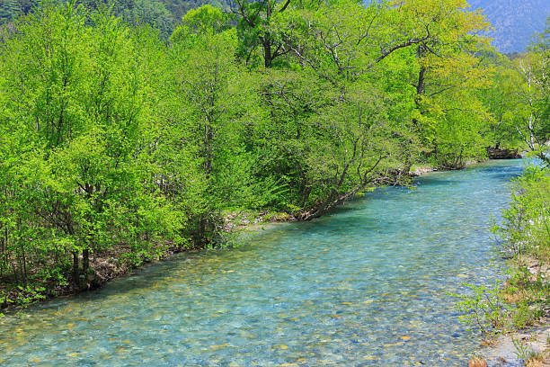 Azusa river in Kamikochi, Nagano, Japan