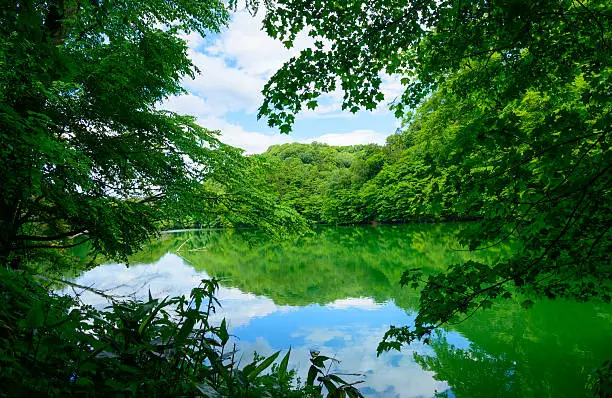 One of the Twelve Lakes in Shirakami-Sanchi in Aomori, Japan
