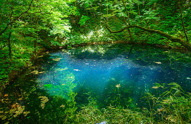 Blue Pond in Shirakami-Sanchi in Aomori, Japan