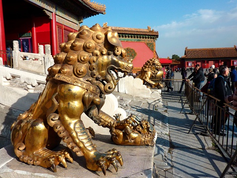 Beijing, China - November 22, 2011 :Forbidden city in Beijing, A gilded lion in front of the Palace of Tranquil Longevity. Locals and tourists sightseeing the large complex.