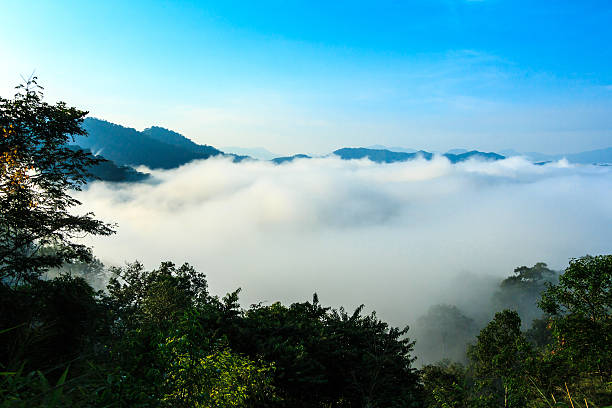 istock Sea Of Mist 471535137