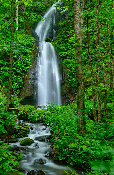 istock Oirase gorge in Aomori, Japan 471537276