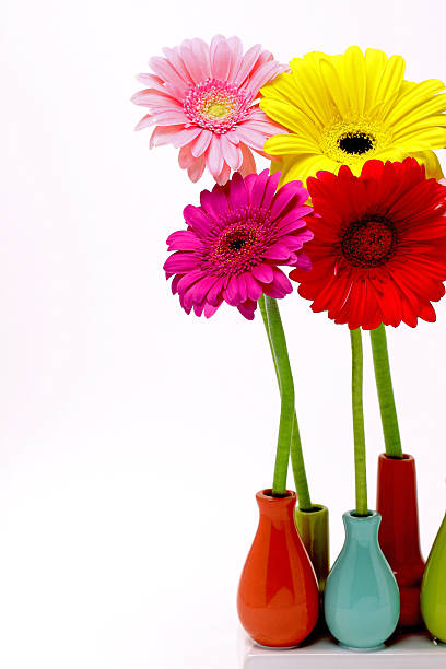 istock Colorful flowers 471537300