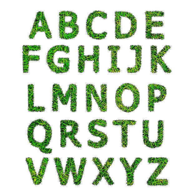 istock collection of green grass alphabet isolated on white background 471537644