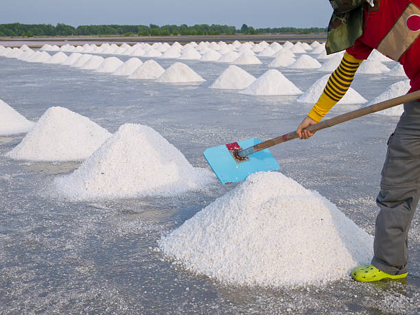 istock salt collecting in  farm 471540349