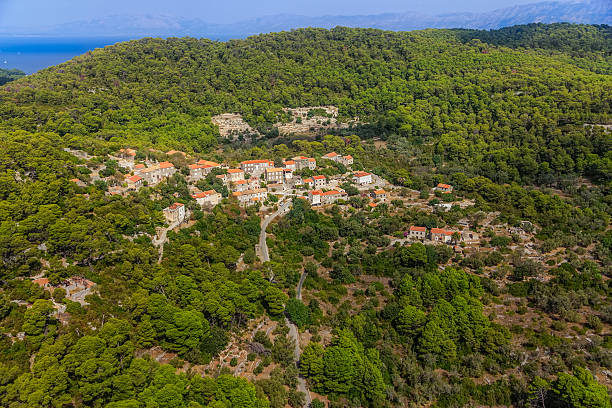 istock Island Mljet - National park 471541001