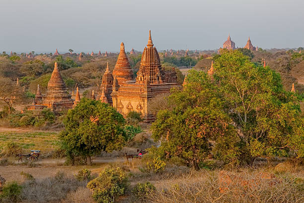 istock Pagodas hidden in vegetation 471543743