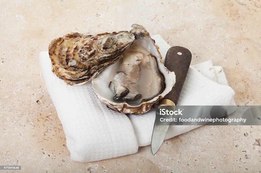 yster & oyster knife A freshly shucked oyster  Oyster Knife Stock Photo