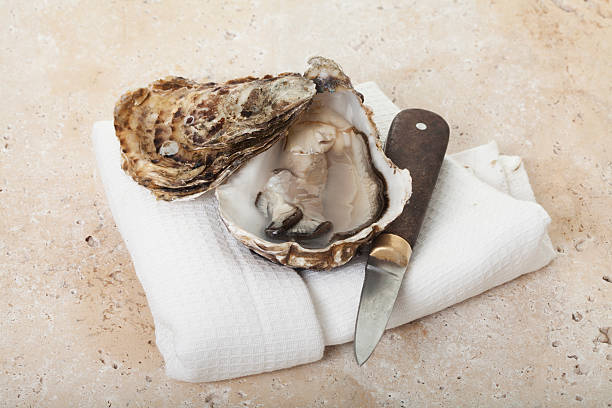 yster & faca de ostra - prepared oysters prepared shellfish shucked seafood - fotografias e filmes do acervo