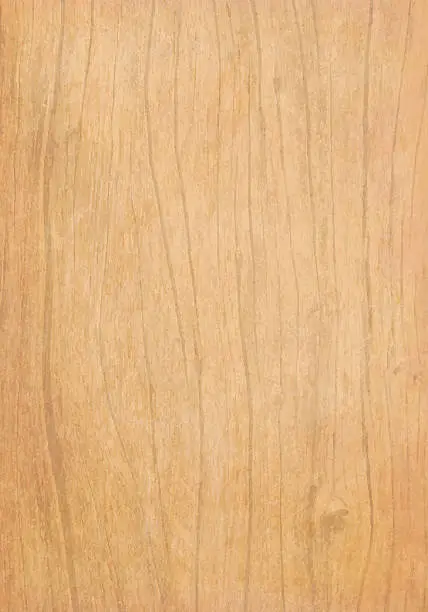 Vector illustration of Grunge Vector Wooden Background