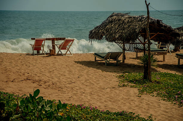 istock Tropical beach in Sri Lanka. 471544856