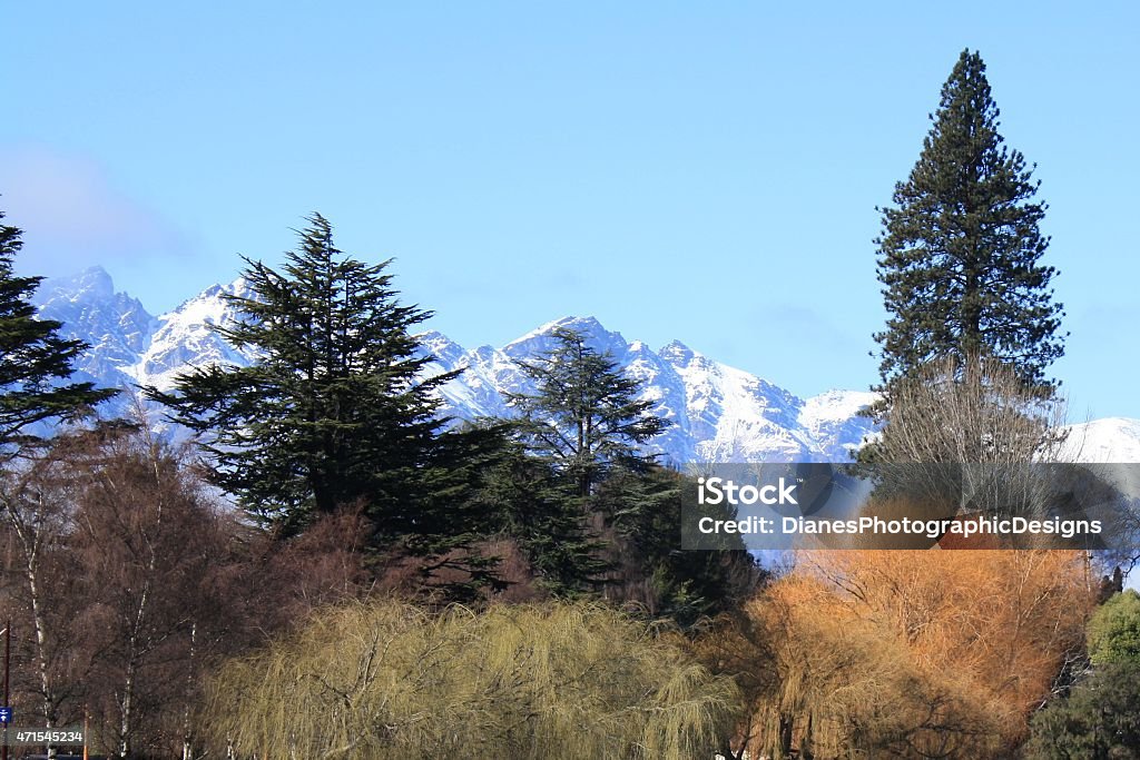 Various coloured trees against mountain range Beautiful array of trees of various species and colours.  Set against a clear blue sky and snow capped mountain range.  Taken on a cold winters day in Queenstown, New Zealand 2015 Stock Photo
