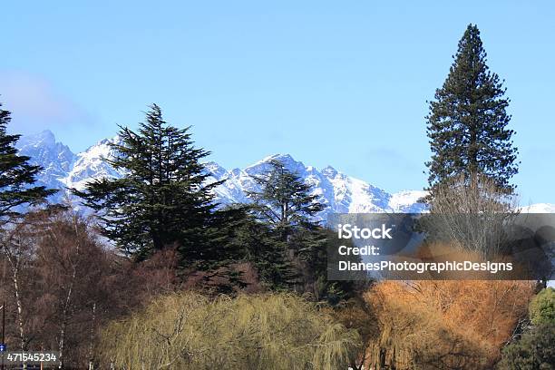 Various Coloured Trees Against Mountain Range Stock Photo - Download Image Now - 2015, Blue, Brown