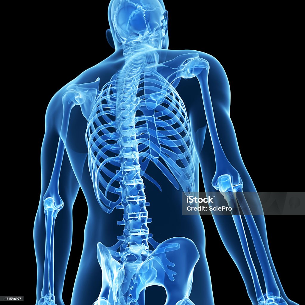 Скелетная спине - Стоковые фото Рентгеновский снимок роялти-фри