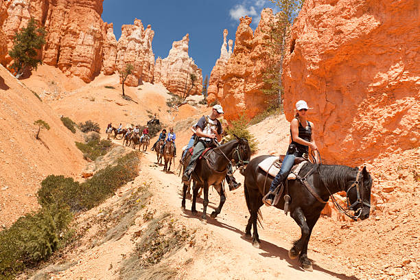 Visitors on Horse Trail in Bryce Canyon National Park Bryce Canyon National Park, Utah, USA - May 12, 2013: Tourists and park visitors enjoying themselves on the horse trail of Bryce Canyon National Park in the south west of United States. rock hoodoo stock pictures, royalty-free photos & images