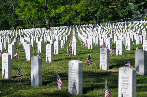 Arlington, Va. USA - May 27, 2013: Grave Stones at Arlington National Cemetery decorated with American flags on Memorial day.