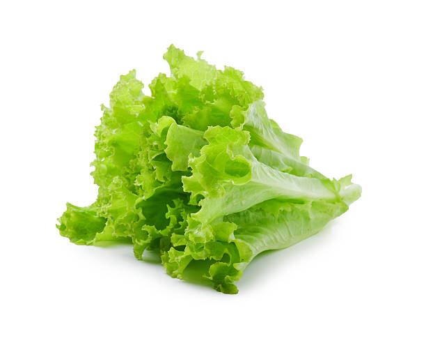 istock fresh  lettuce leaves isolated on white 471550974
