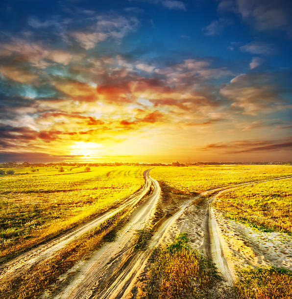 istock Two divergent sandy road in a field 471551738