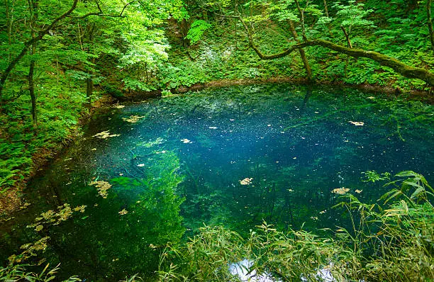 Blue Pond in Shirakami-Sanchi in Aomori, Japan