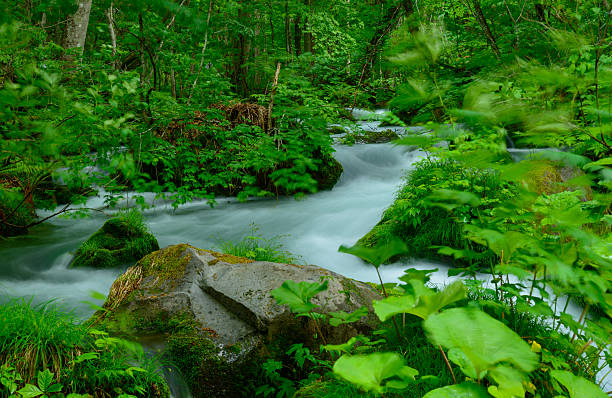 istock Oirase gorge in Aomori, Japan 471554640