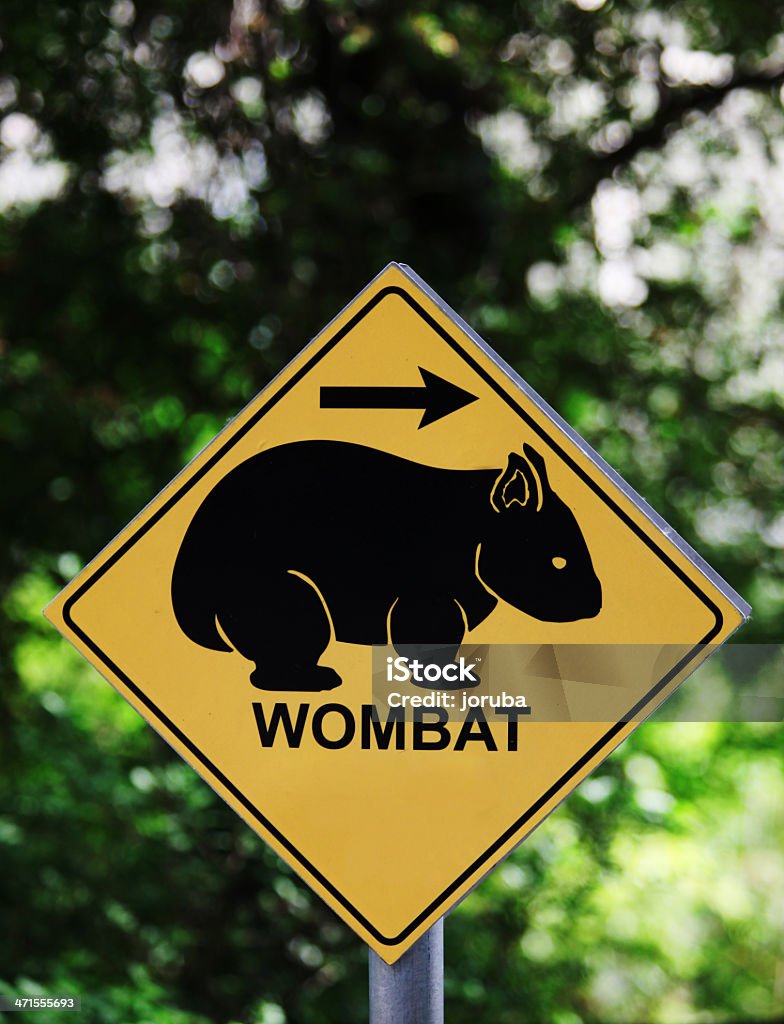 Wombat sinal - Royalty-free Animal Foto de stock