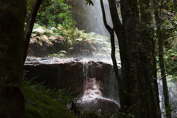 bellissima cascata e misteriosa "withes passo" - mago national park foto e immagini stock