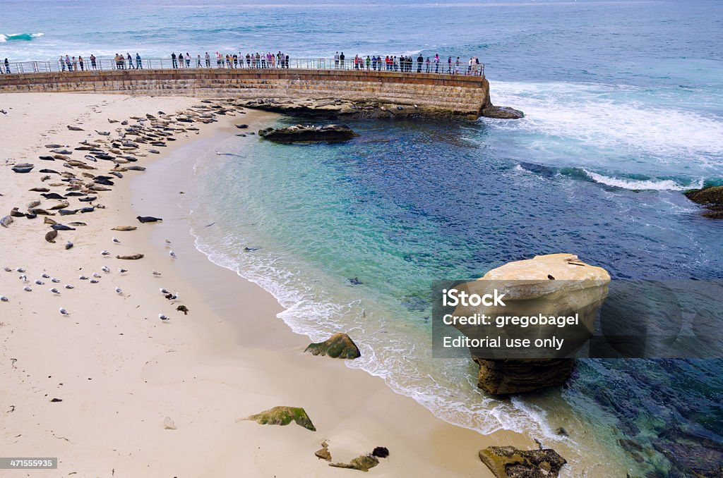 Piscina para niños playa en La Jolla en San Diego, California - Foto de stock de Aire libre libre de derechos