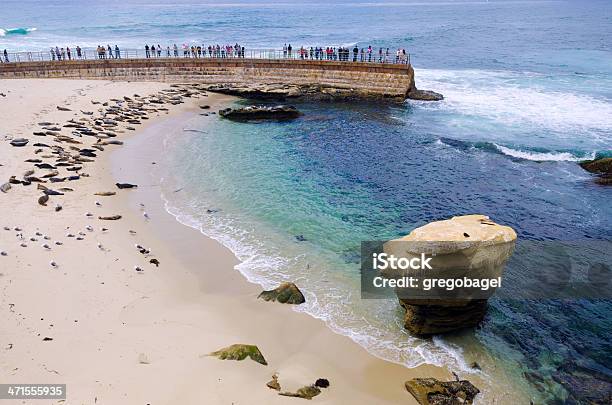 Piscina Para Niños Playa En La Jolla En San Diego California Foto de stock y más banco de imágenes de Aire libre