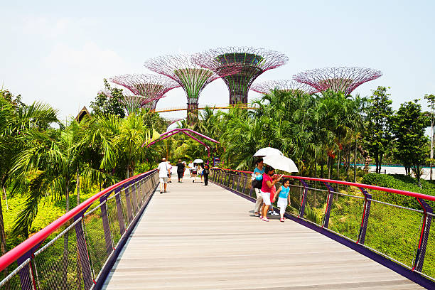 Singapore, Singapore - September, 3rd 2012: Some tourists are doing sight seeing in Gardens by the Bay, new attraction behind Marina Bay Sands in Singapore. The are walking over wooden boardwalk and bridge connecting park and Marina Bay Sands. In background are giant supertrees of park.