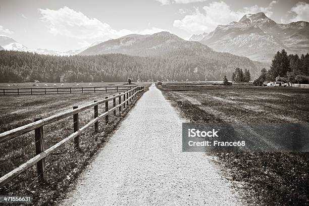 Street Weg In Engadin Valley Stockfoto und mehr Bilder von Alpen - Alpen, Azalee, Barrikade
