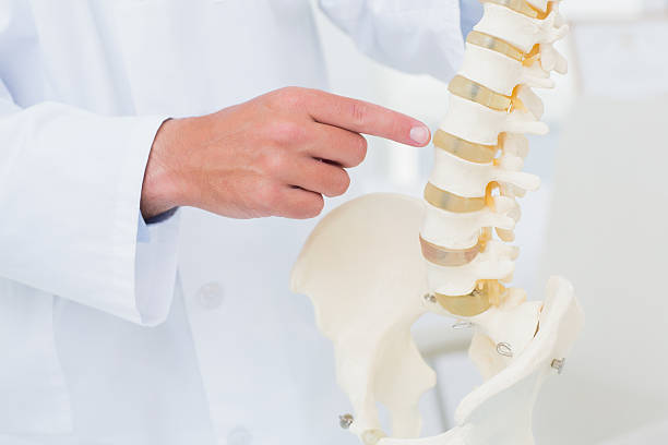 istock Doctor pointing at anatomical spine 471557552