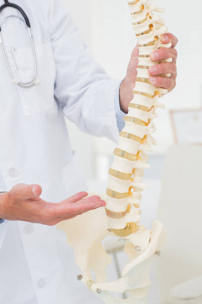 istock Doctor showing anatomical spine 471557558