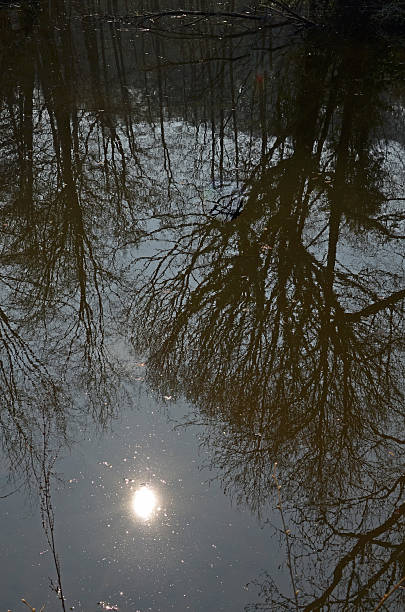 istock Reflection of the midday sun in a lake. 471557894