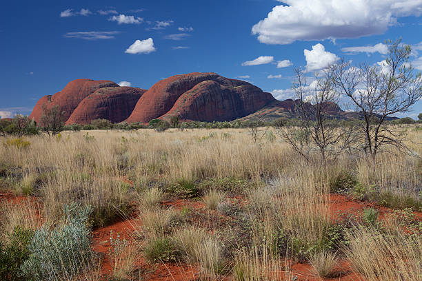 Kata Tjuta, Northern Territory, Australia stock photo