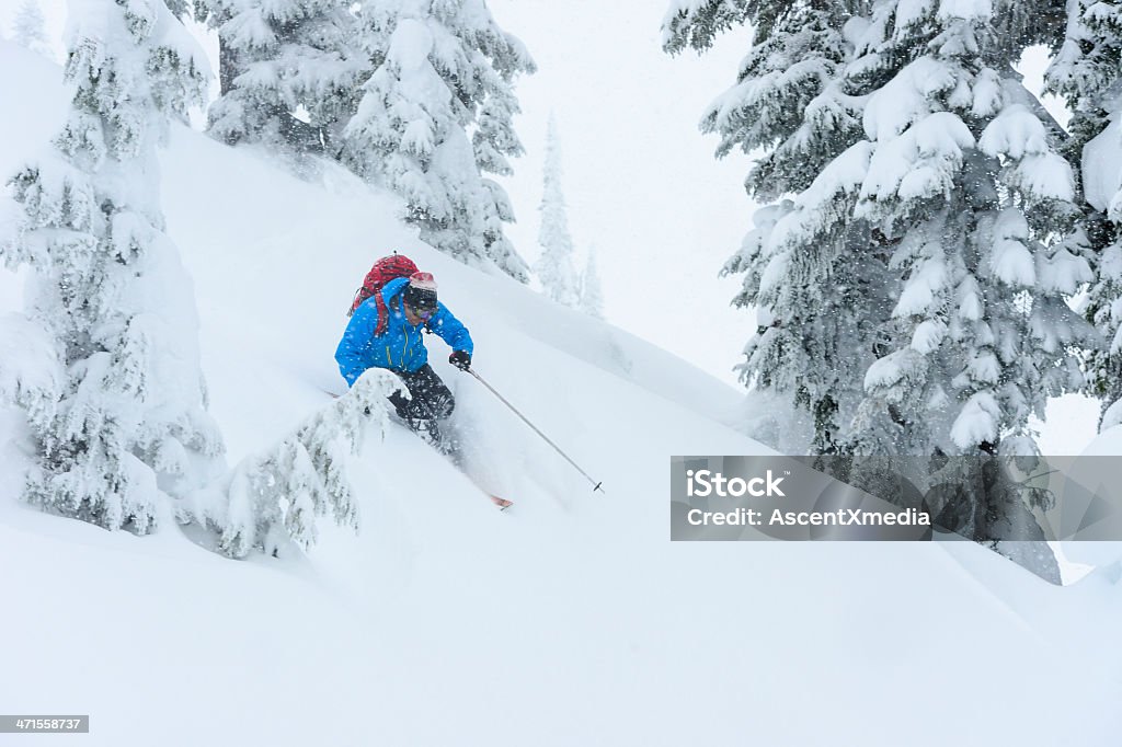 Pratique du ski dans la poudreuse - Photo de Activité libre de droits
