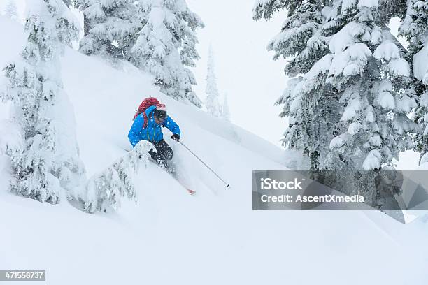 Photo libre de droit de Pratique Du Ski Dans La Poudreuse banque d'images et plus d'images libres de droit de Activité - Activité, Activité de loisirs, Arbre