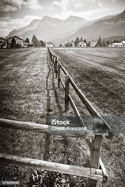 Engadin Valley Stockfoto und mehr Bilder von Alpen - Alpen, Azalee, Barrikade