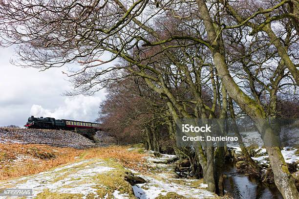 Locomotiva A Vapor North York Moors Goathland Yorkshire Reino Unido - Fotografias de stock e mais imagens de Ao Ar Livre