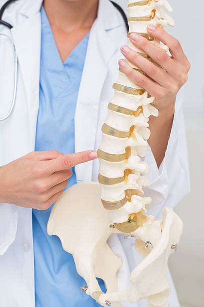 istock Female doctor with anatomical spine 471561824
