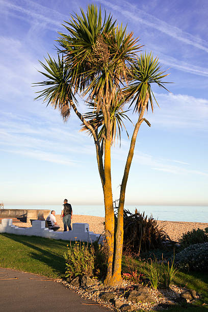 bognor - englis fotografías e imágenes de stock