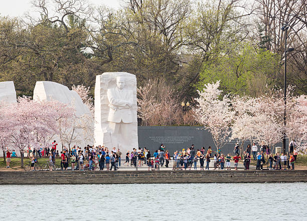 Martin Luther King Monument Washington DC Washington DC, USA - April 8, 2013: Tourists and visitors at the monument to Dr Martin Luther King in Washington DC surrounded by cherry blossoms. The memorial opened to the public on August 22, 2011 martin luther king jr images stock pictures, royalty-free photos & images