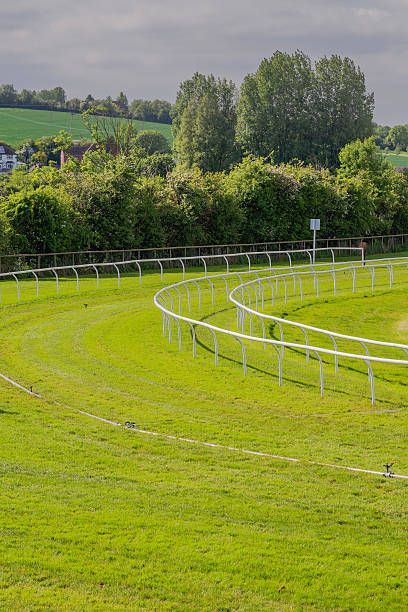 경마장 - horse racing warwickshire sports venue turf 뉴스 사진 이미지