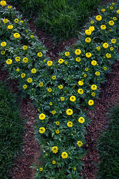 istock Letter Y With Flowers 471565937