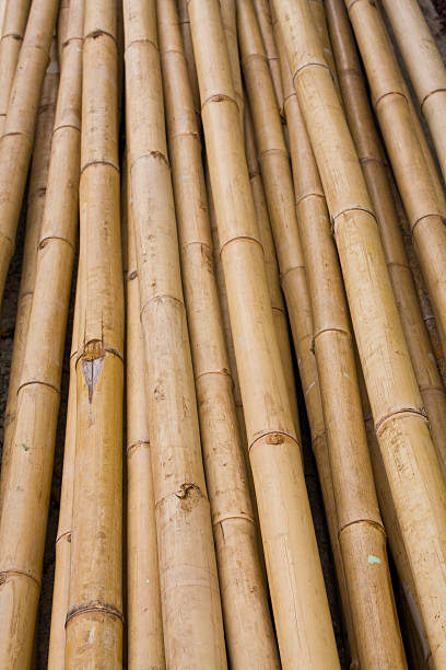 istock Pile of dry bamboo woods 471566817
