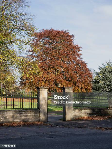 Photo libre de droit de Lautomne banque d'images et plus d'images libres de droit de Angleterre - Angleterre, Arboretum, Arbre