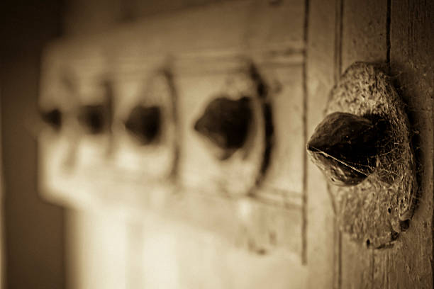istock Door panel of Someshwar Temple 471567530