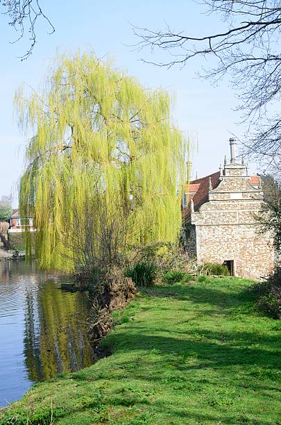 istock Bourne Mill Colchester in Portrait 471567596
